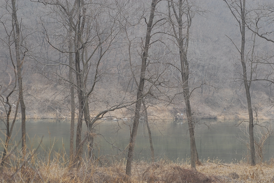  LSY_0067.JPG 