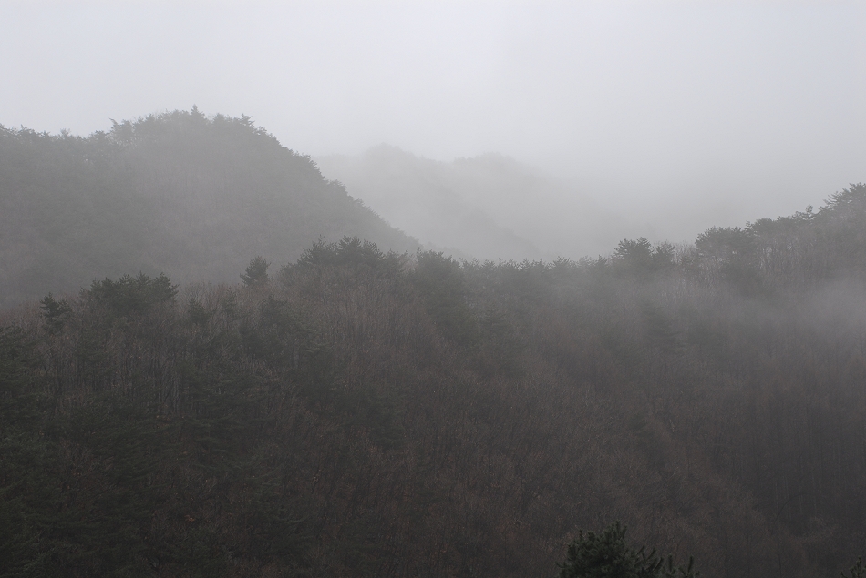  LSY_0476.JPG 