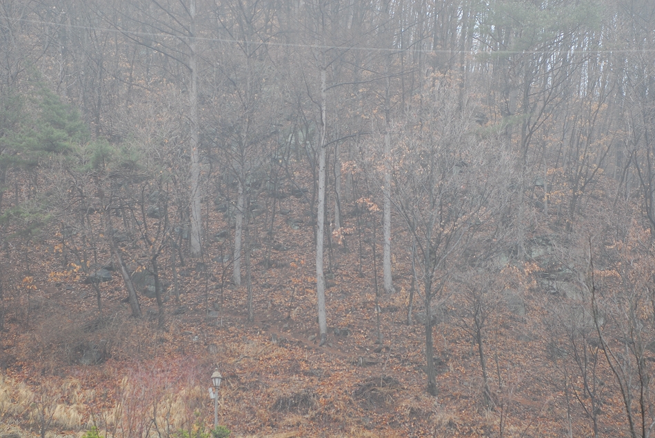  LSY_0472.JPG 