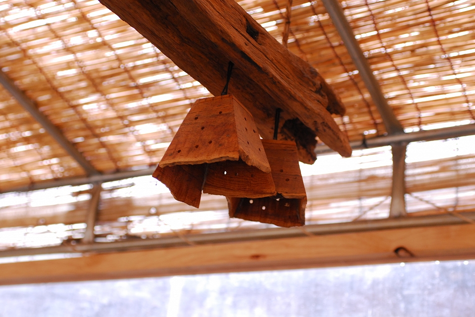  LSY_0396.JPG 