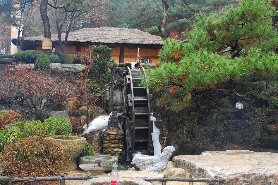  LSY_0435.JPG 
