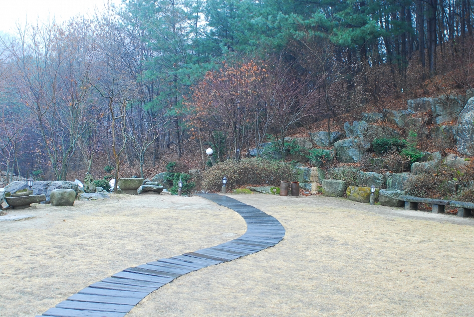  LSY_0266.JPG 