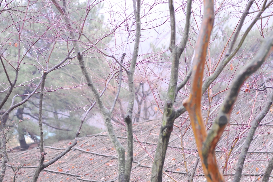  LSY_0272.JPG 
