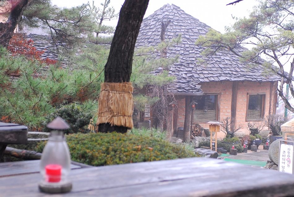  LSY_0293.JPG 