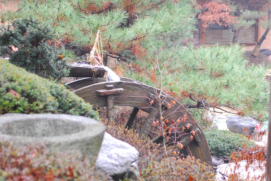  LSY_0299.JPG 