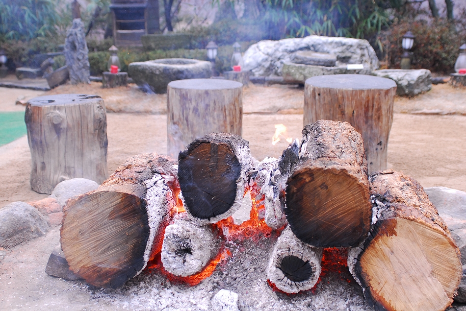  LSY_0366.JPG 