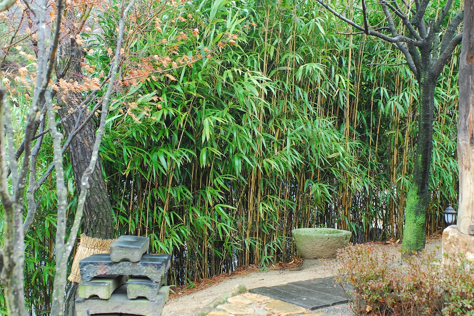  LSY_0450.JPG 