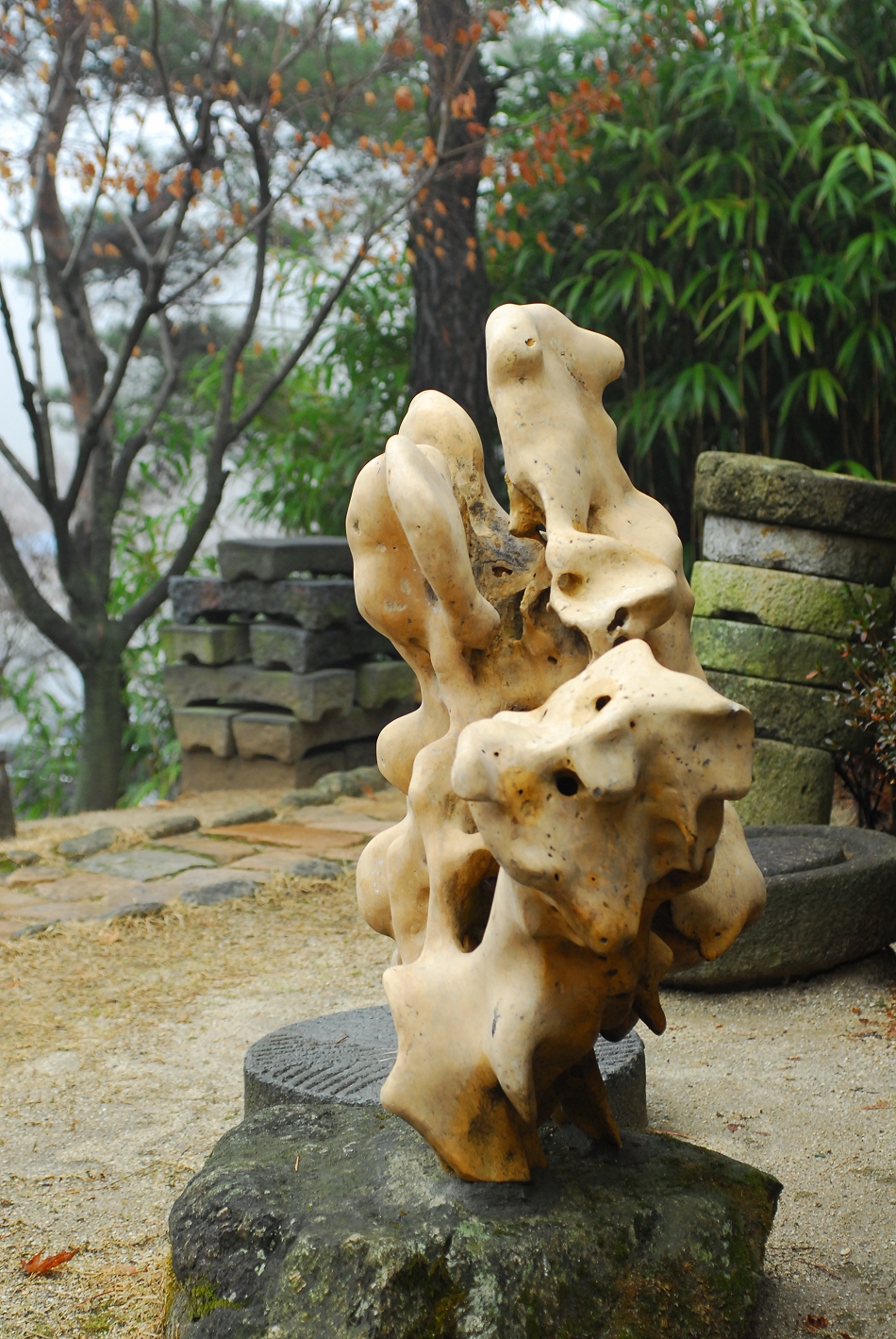  LSY_0131.JPG 