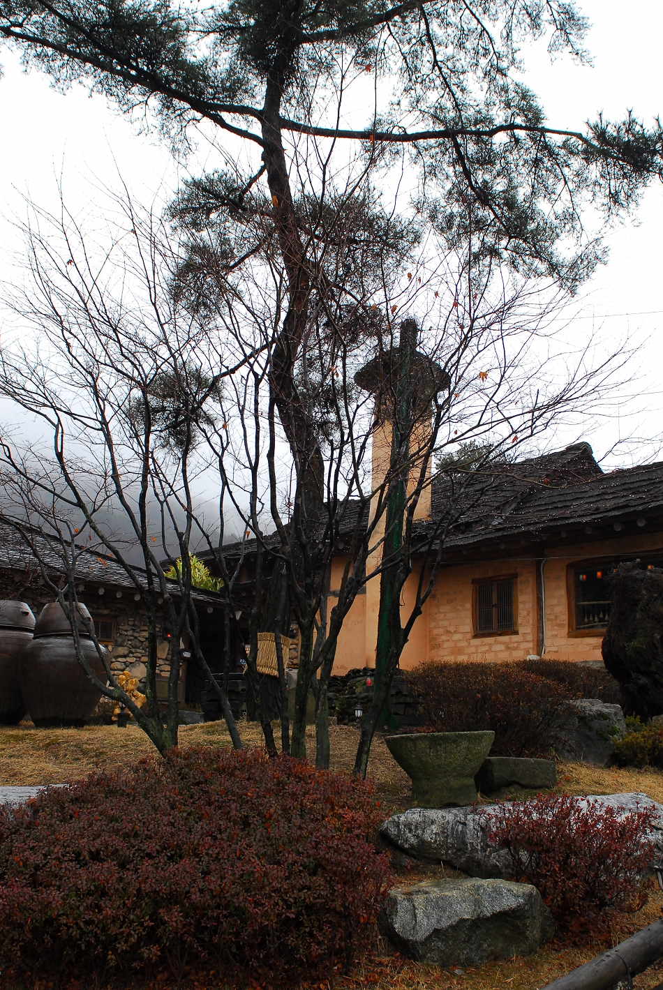  LSY_0456.JPG 
