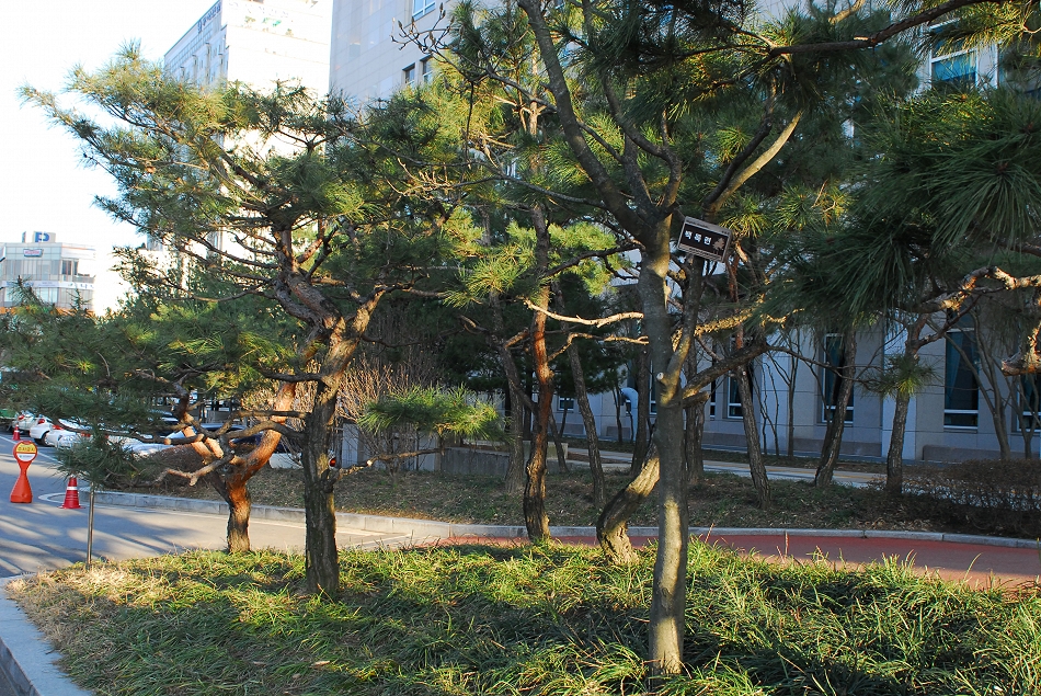  LSY_0191.JPG 